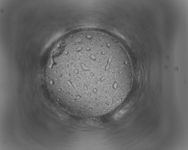 X0000077381255200611031928