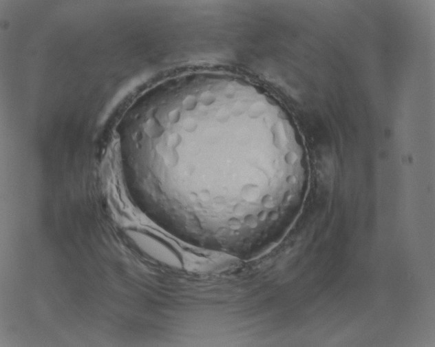 X0000077381256200611031927