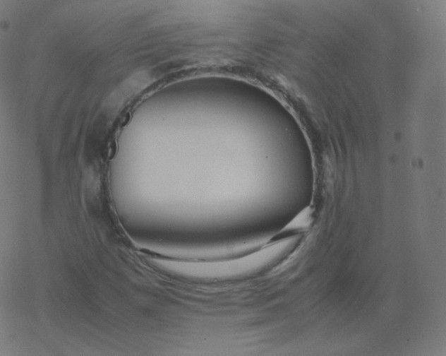 X0000077381257200611031927