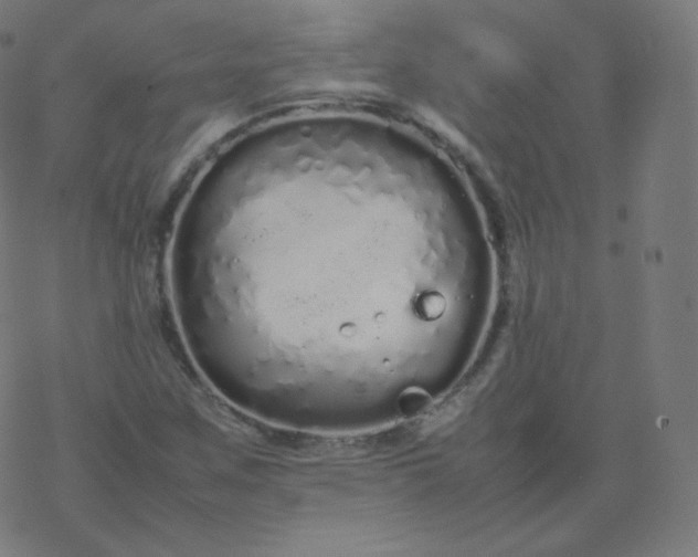 X0000077381259200611031927