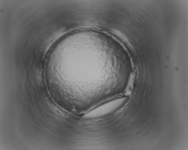 X0000077381260200611031927