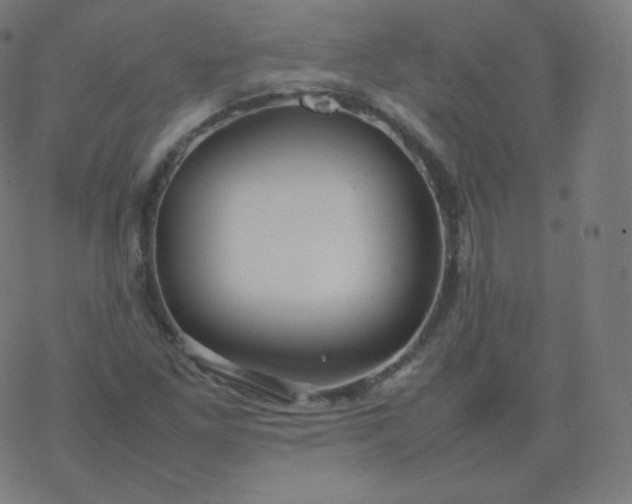 X0000077381261200611031927