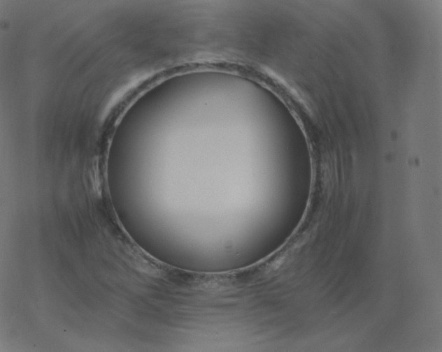 X0000077381262200611031927