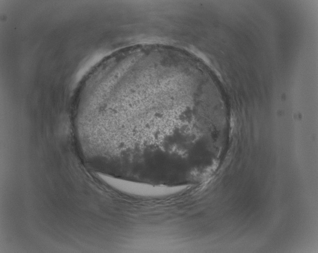 X0000077381263200611031927