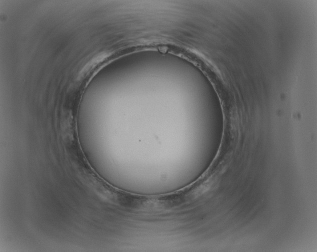 X0000077381265200611031927