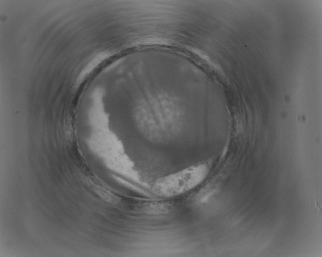 X0000077381266200611031927