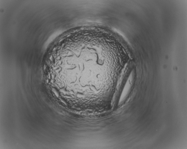 X0000077381267200611031927