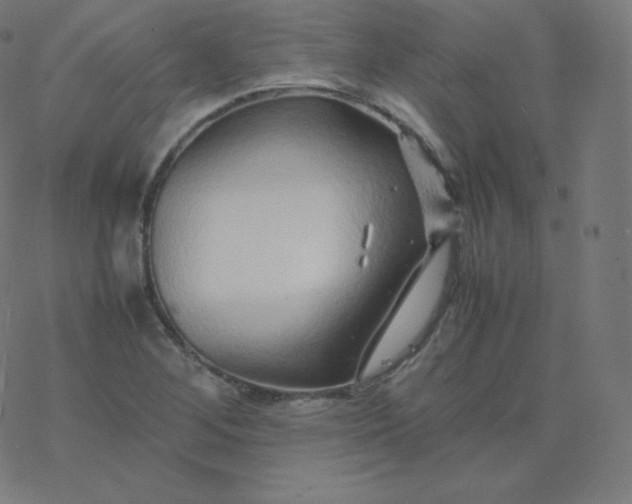 X0000077381268200611031927