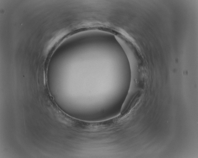 X0000077381269200611031927