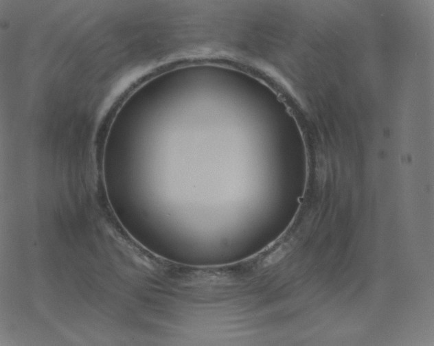 X0000077381270200611031927