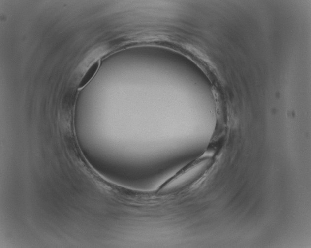 X0000077381273200611031927