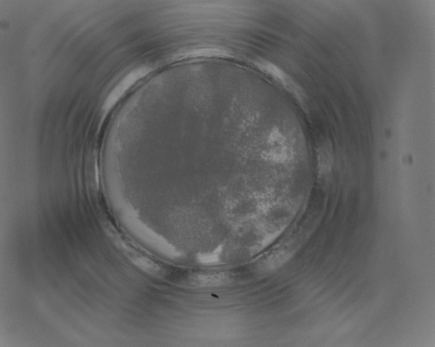 X0000077381274200611031927