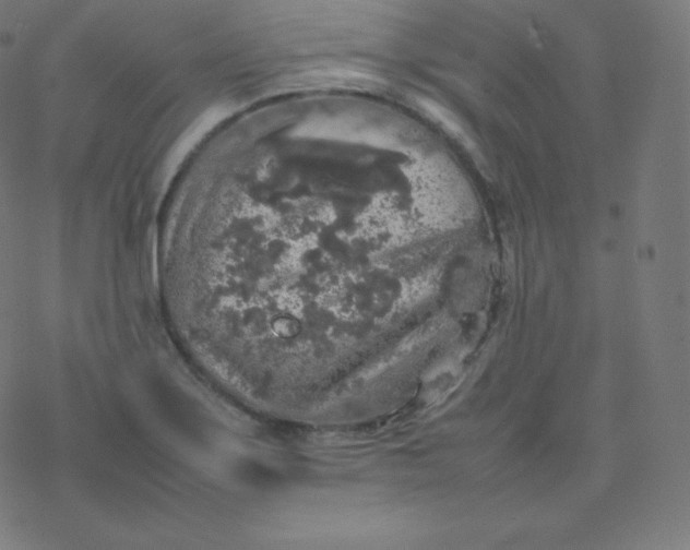 X0000077381275200611031927