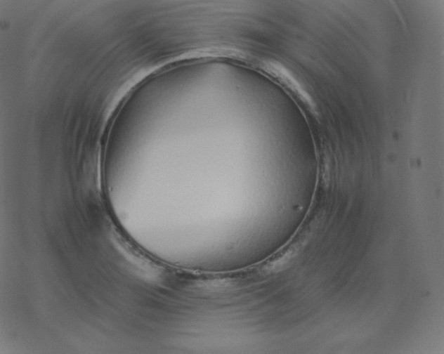 X0000077381276200611031927