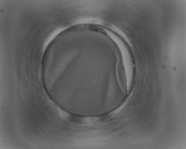 X0000077381277200611031927