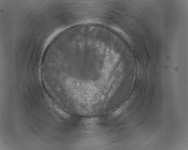 X0000077381278200611031927