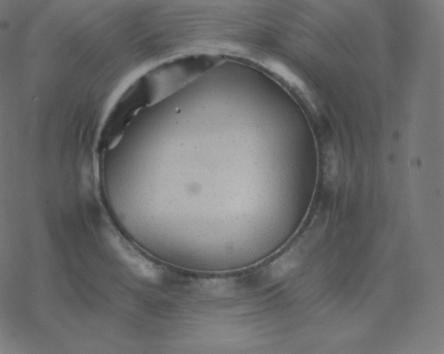 X0000077381280200611031927