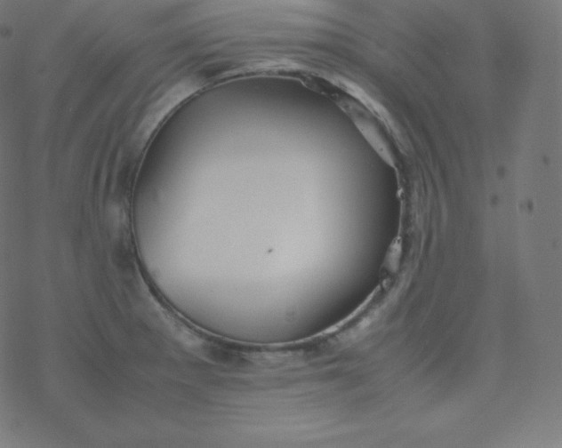 X0000077381281200611031927