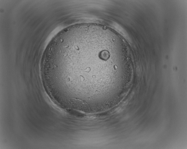 X0000077381283200611031927