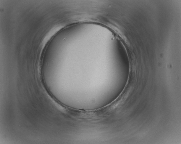 X0000077381285200611031927