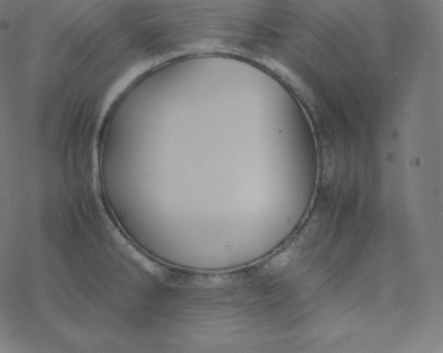 X0000077381286200611031927