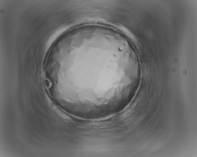 X0000077381287200611031927