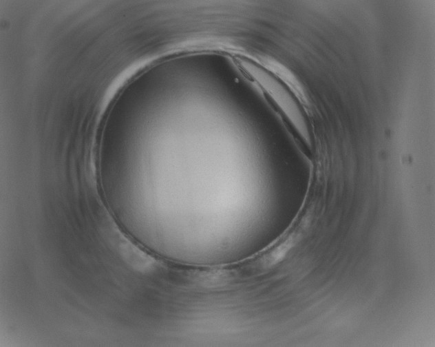 X0000077381288200611031927