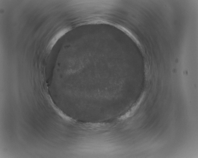 X0000077381289200611031927