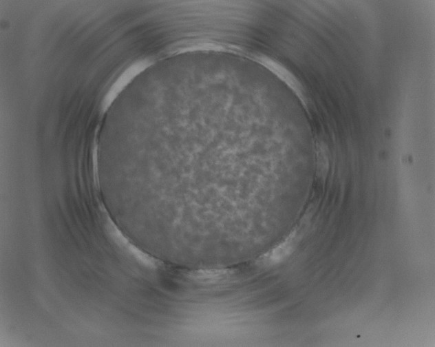 X0000077381290200611031927