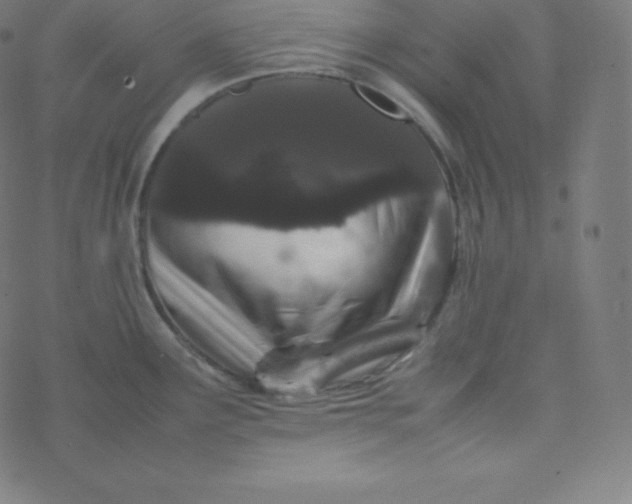 X0000077381291200611031927