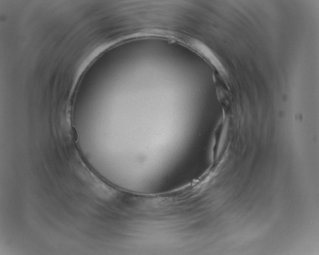 X0000077381292200611031927