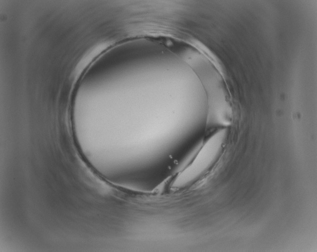 X0000077381293200611031927