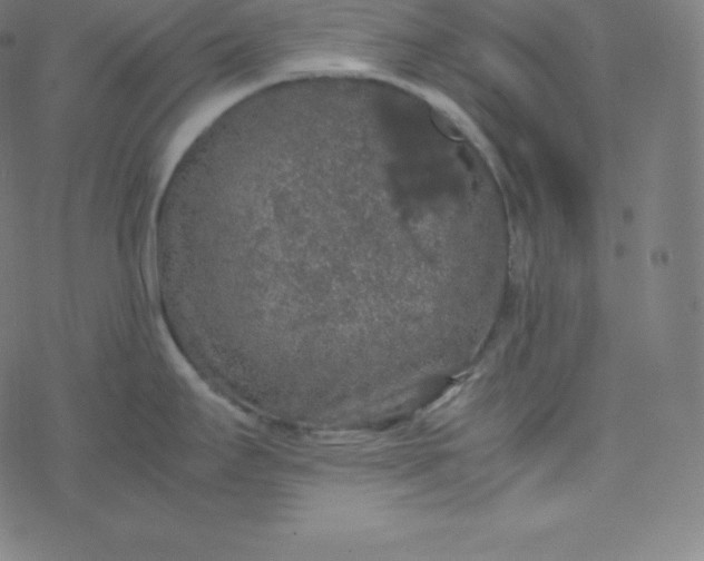 X0000077381295200611031927