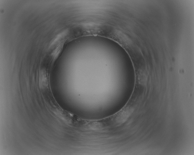 X0000077381298200611031926