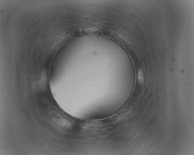 X0000077381299200611031926