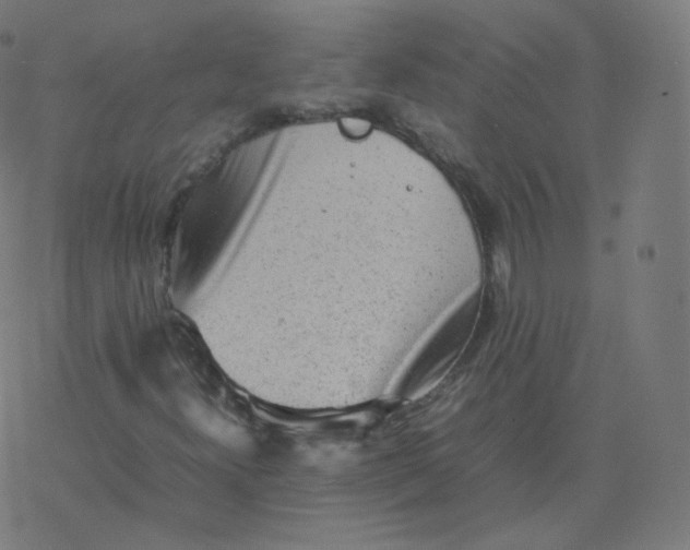 X0000077381300200611031926