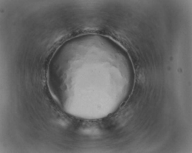 X0000077381301200611031926