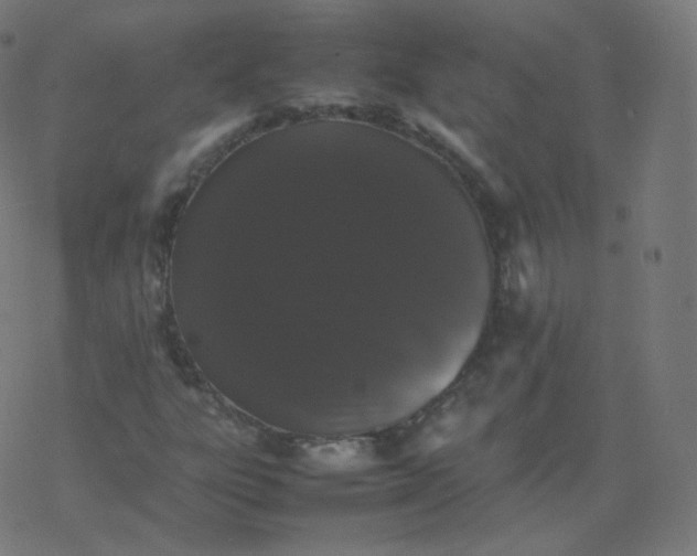 X0000077381303200611031926