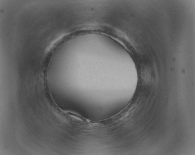 X0000077381304200611031926