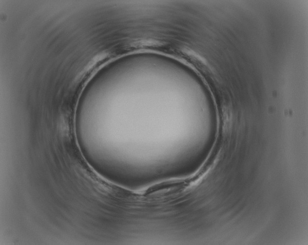 X0000077381305200611031926