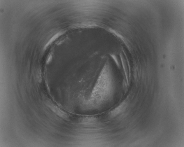 X0000077381306200611031926