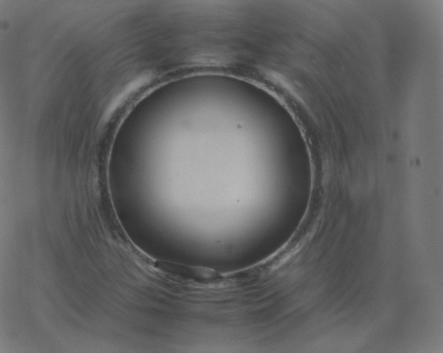 X0000077381307200611031926