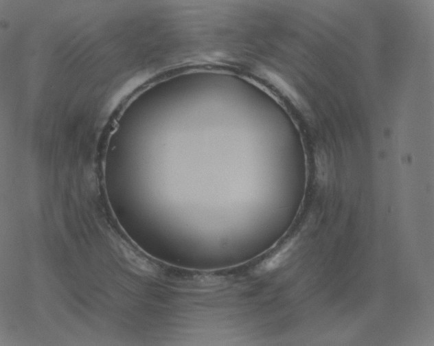 X0000077381308200611031926