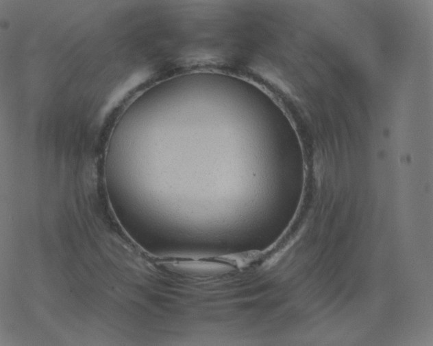 X0000077381309200611031926