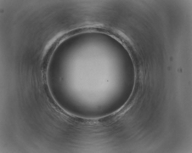 X0000077381310200611031926