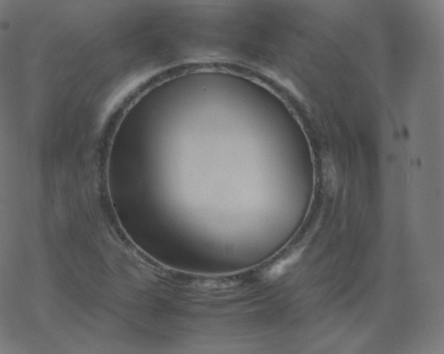 X0000077381311200611031926