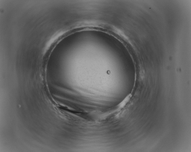 X0000077381312200611031926