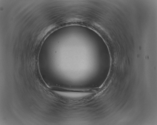 X0000077381313200611031926