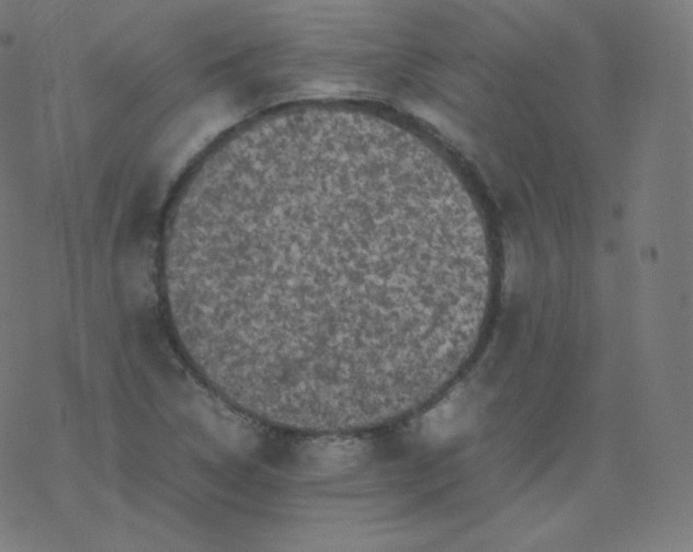 X0000077381314200611031926