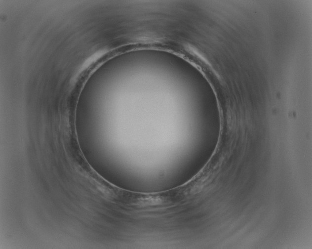 X0000077381315200611031926